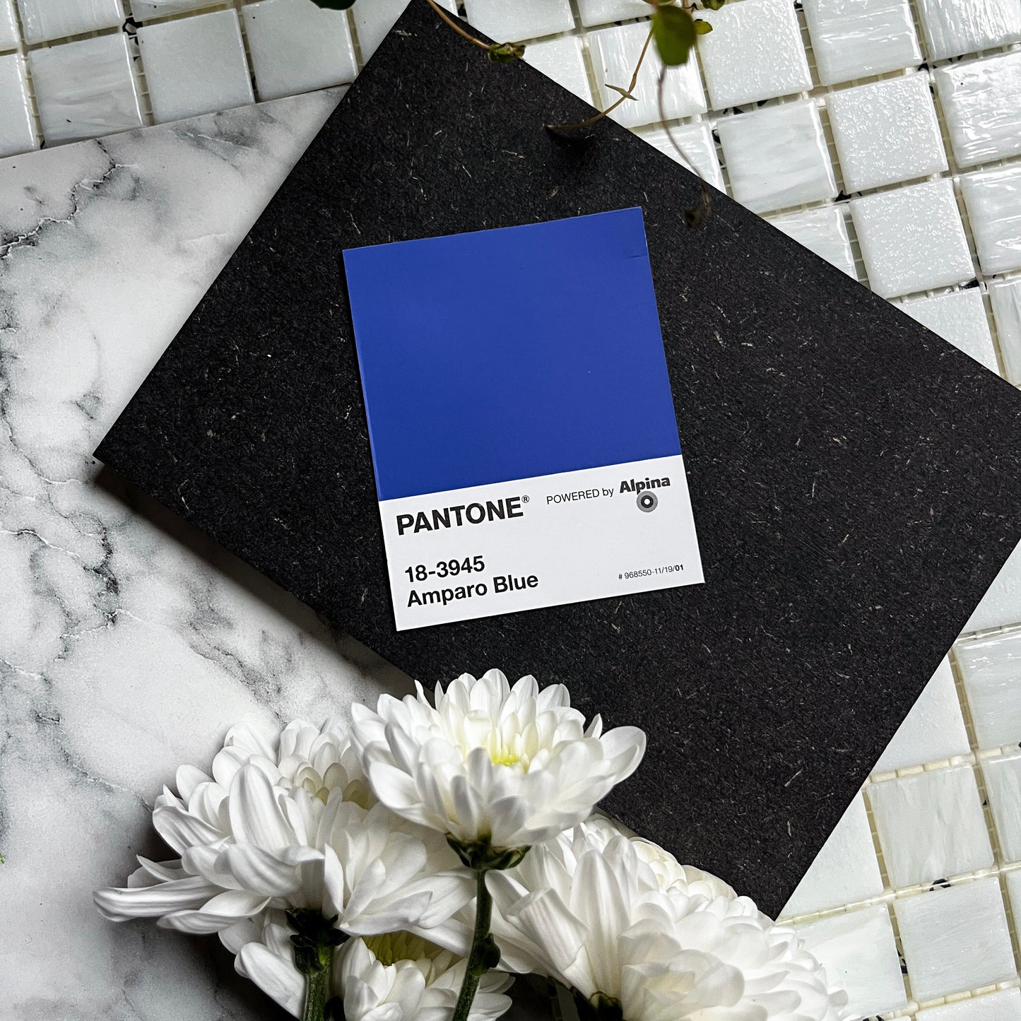 Amparo Blue | Mini Paperwork