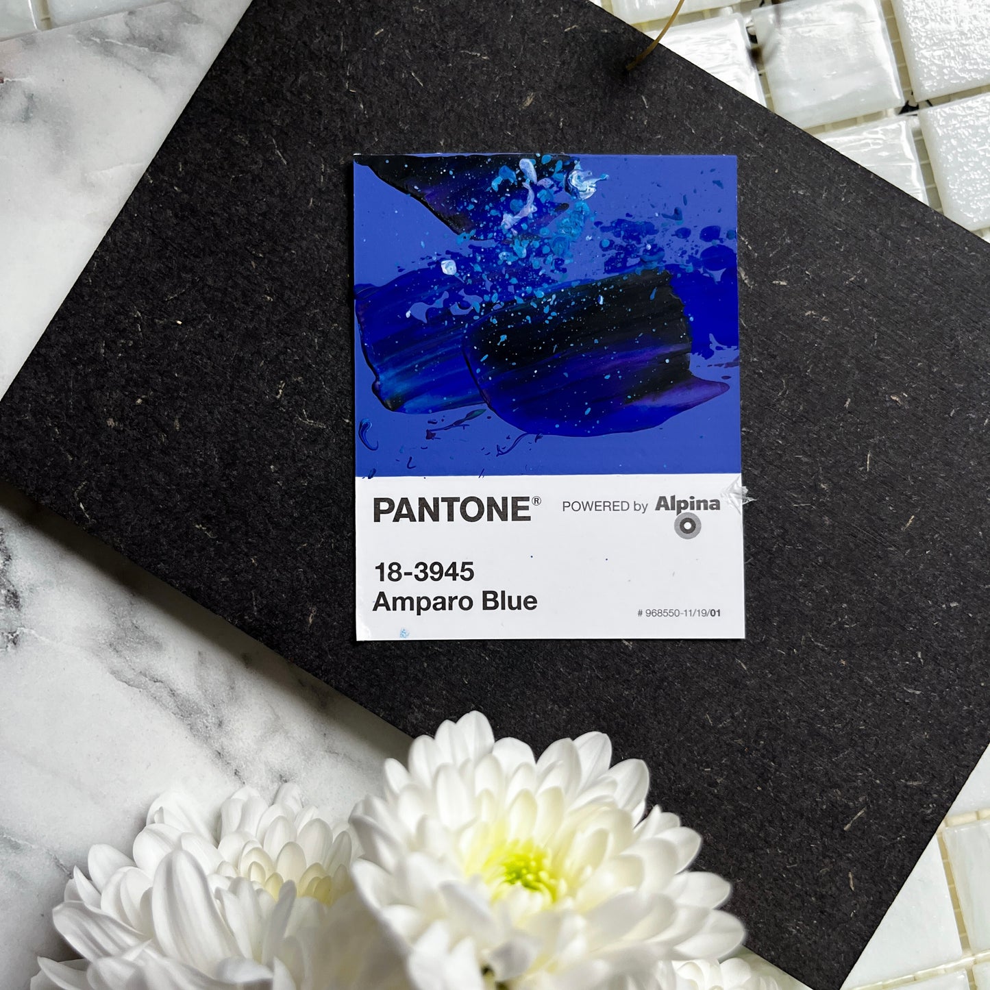 Amparo Blue | Mini Paperwork