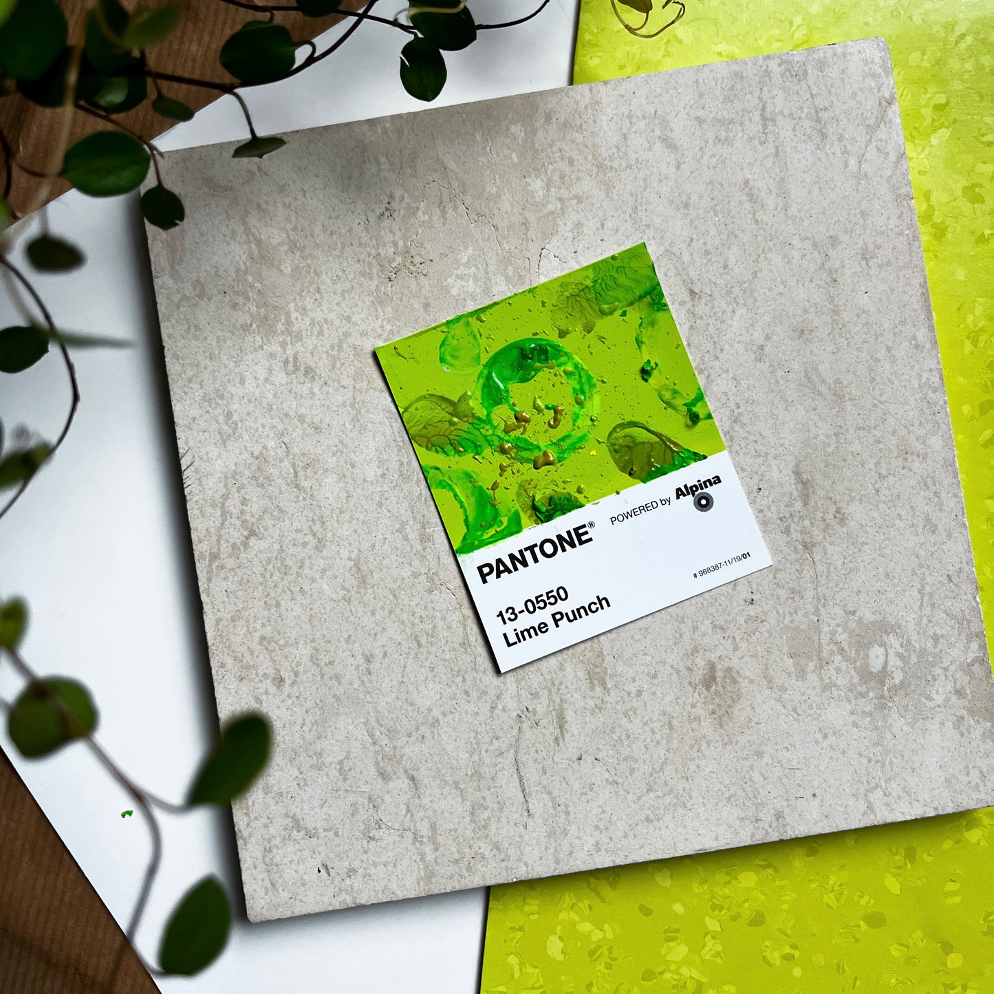 Lime Punch | Mini Paperwork