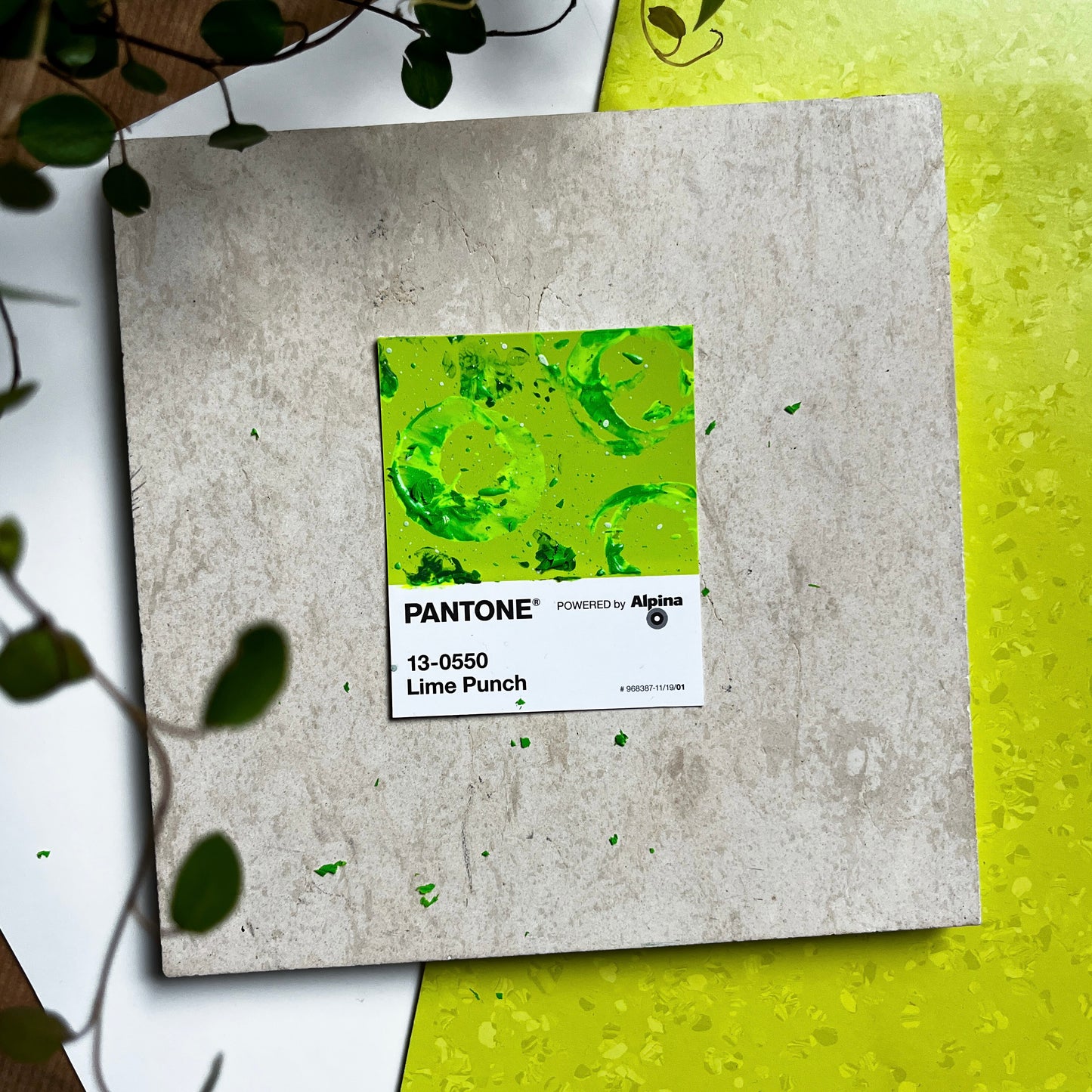 Lime Punch | Mini Paperwork