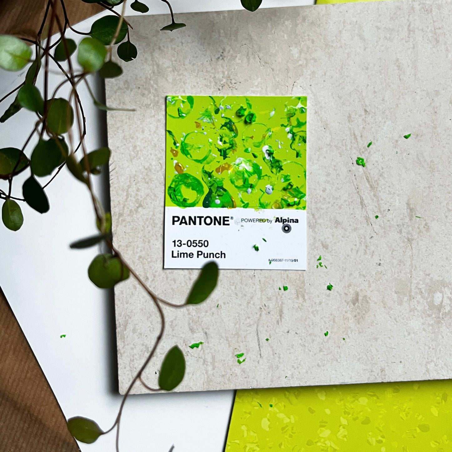 Lime Punch | Mini Paperwork