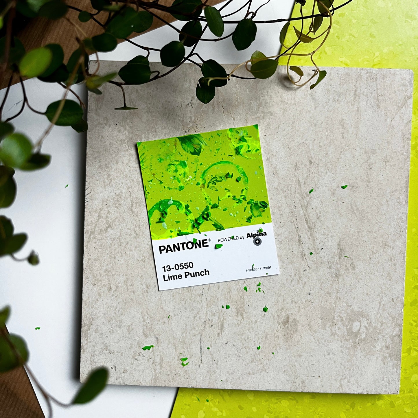 Lime Punch | Mini Paperwork