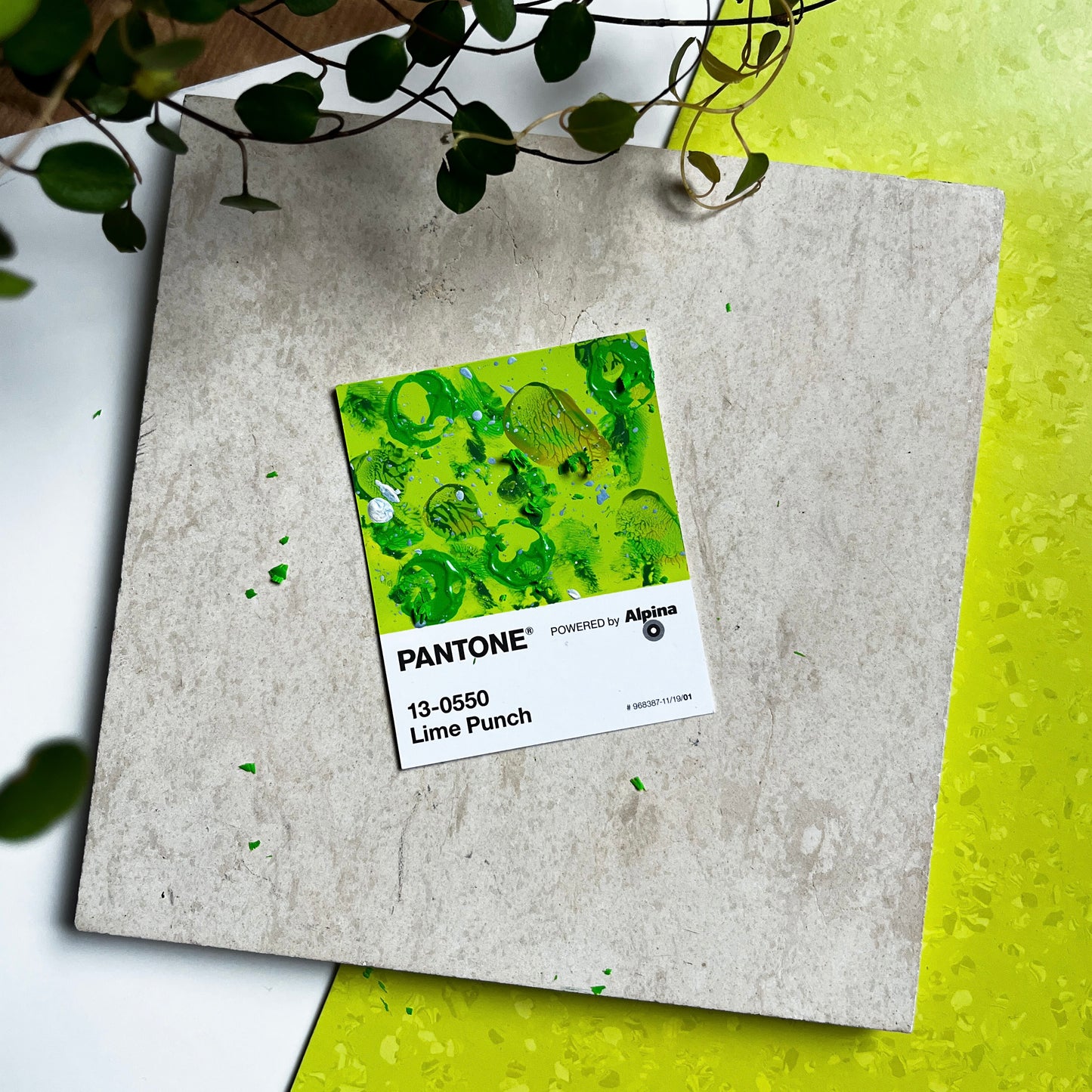 Lime Punch | Mini Paperwork