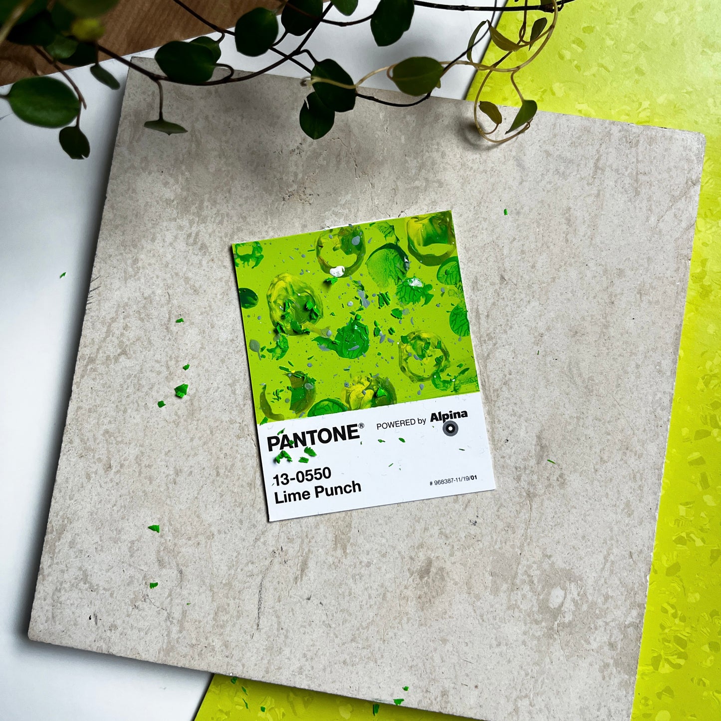 Lime Punch | Mini Paperwork