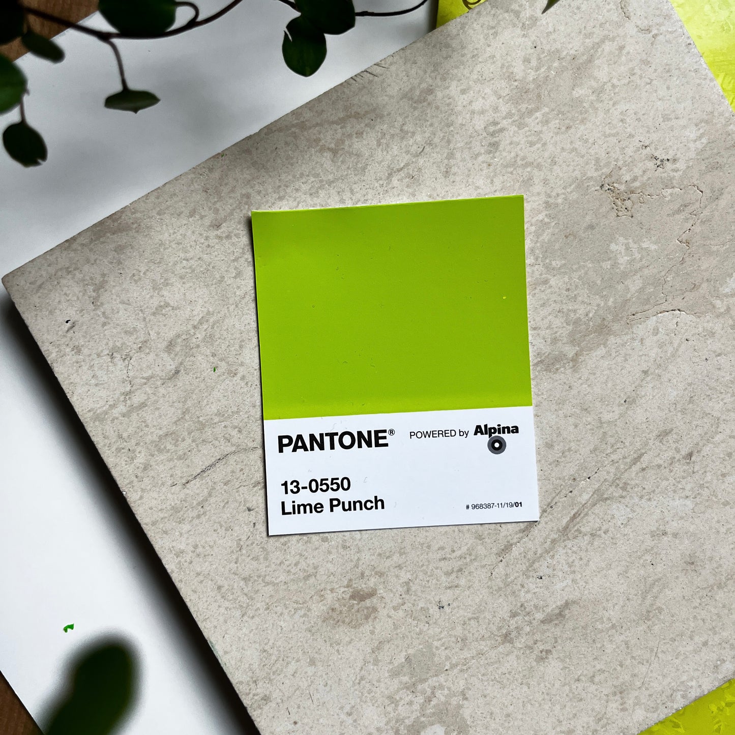 Lime Punch | Mini Paperwork