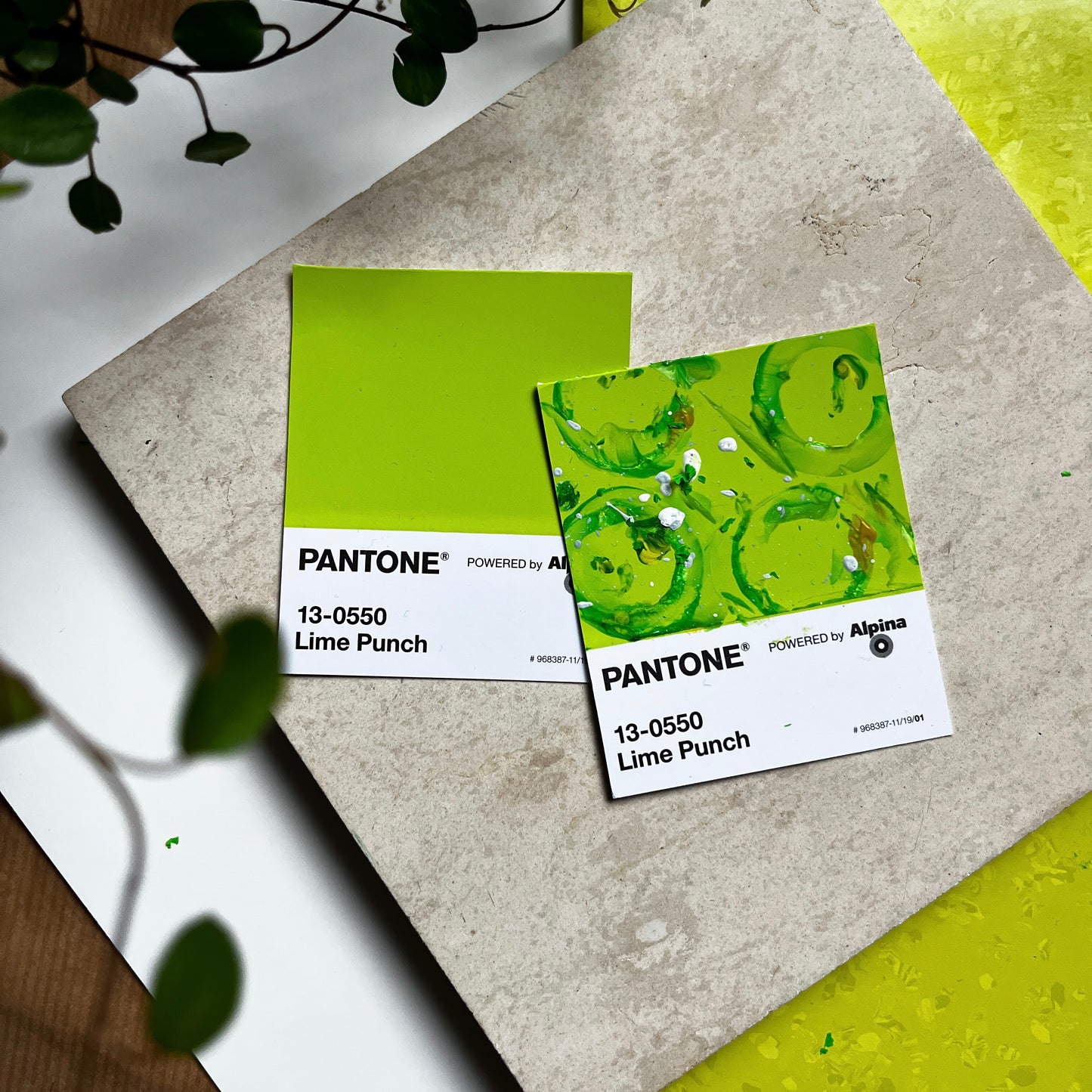 Lime Punch | Mini Paperwork