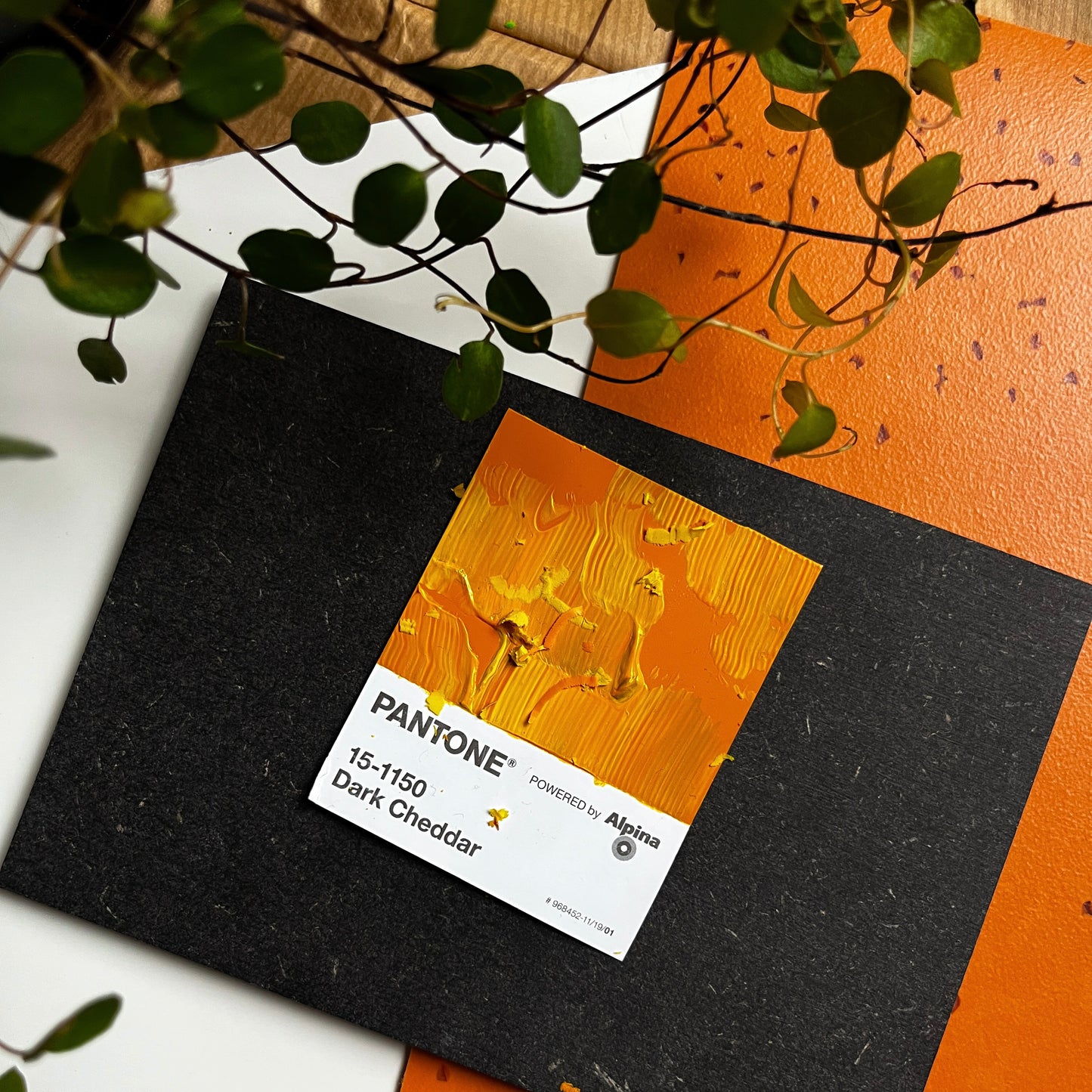 Dark Cheddar | Mini Paperwork