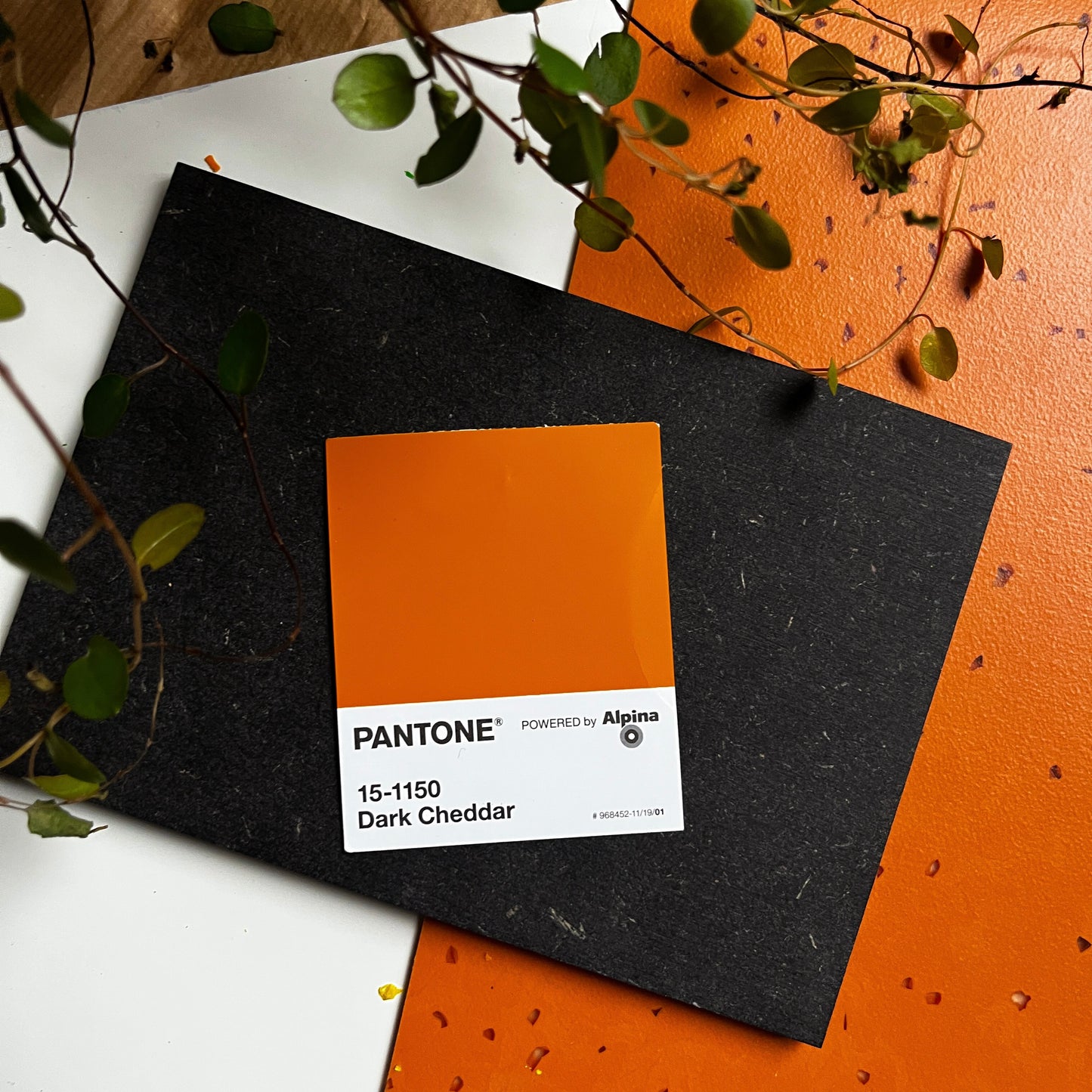 Dark Cheddar | Mini Paperwork