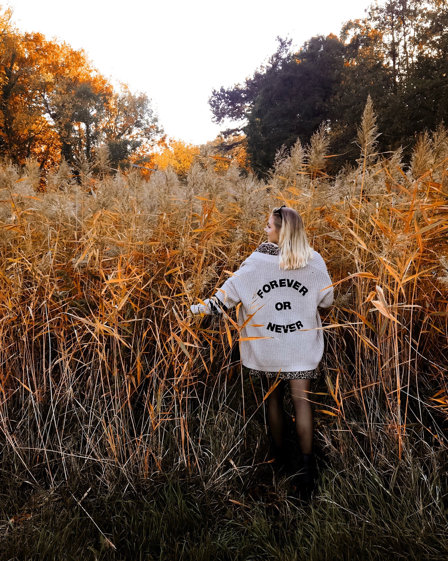 Golden Hour Collection