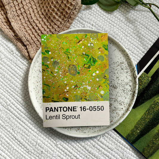 Lentil Sprout | Postkarte