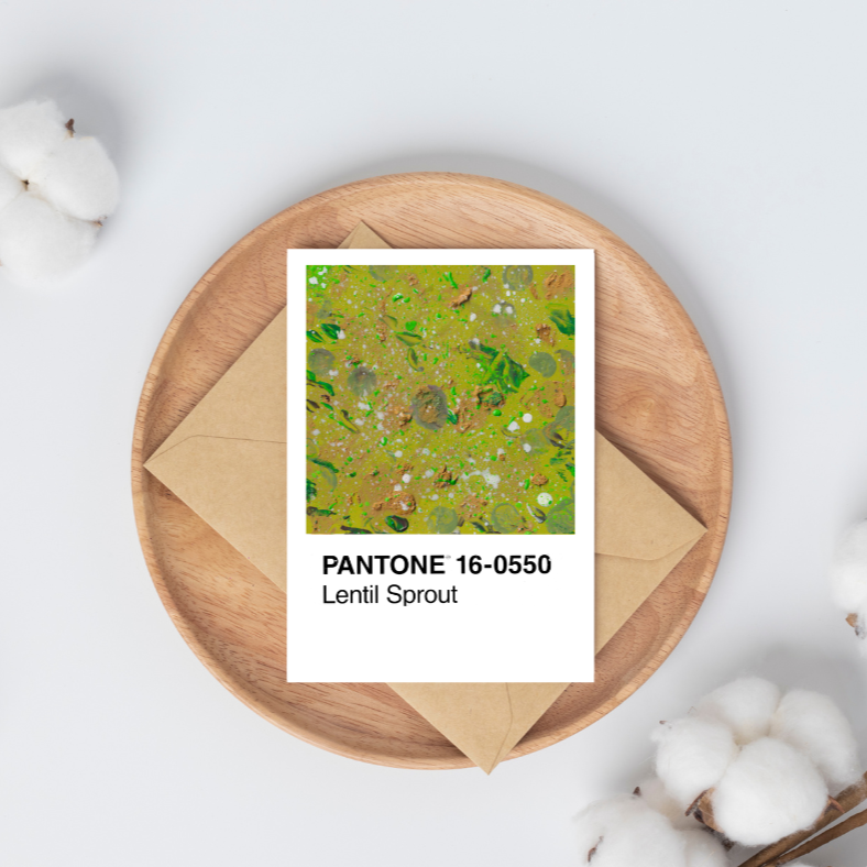 Lentil Sprout | Postkarte