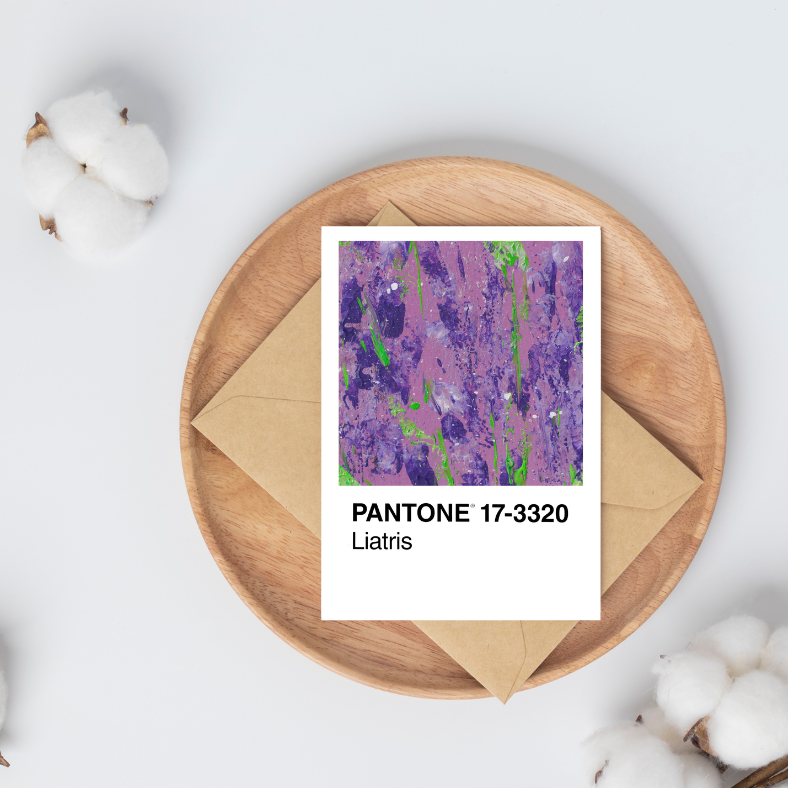 Liatris | Postkarte