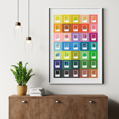 Collected | Poster