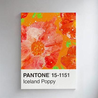 Iceland Poppy | Postkarte