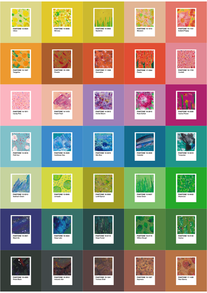 Collected | Poster