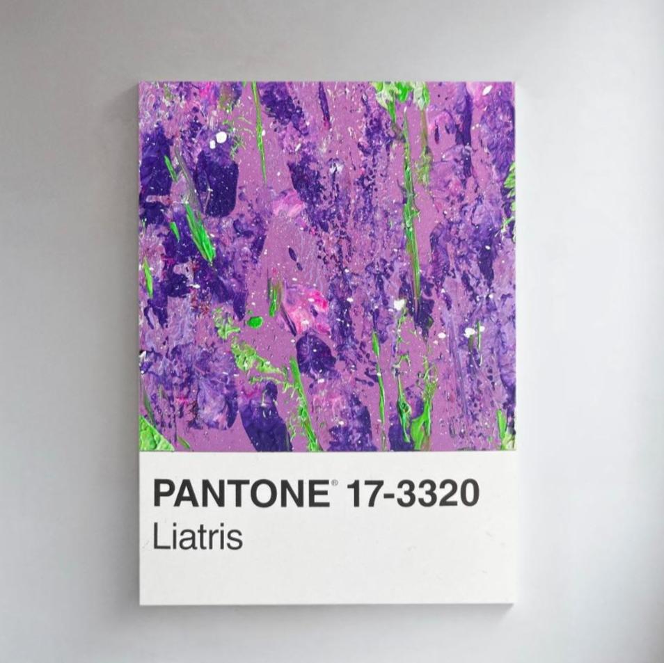 Liatris | Postkarte