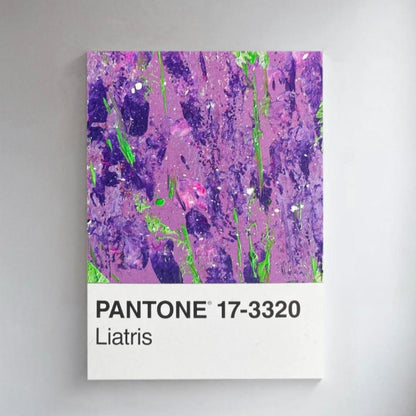 Liatris | Postkarte